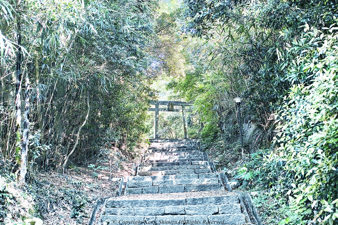 Sacred Forest Naoshima